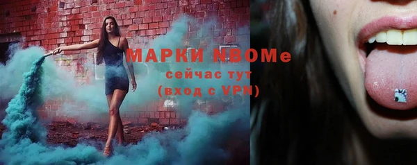 крисы Коряжма