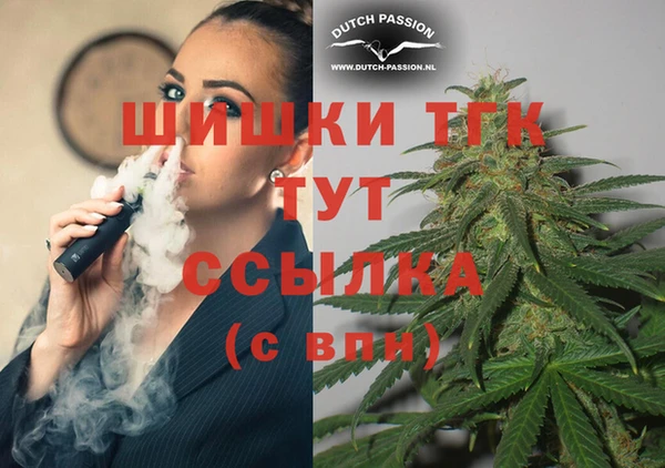 крисы Костерёво