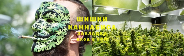 эйфоретик Краснослободск