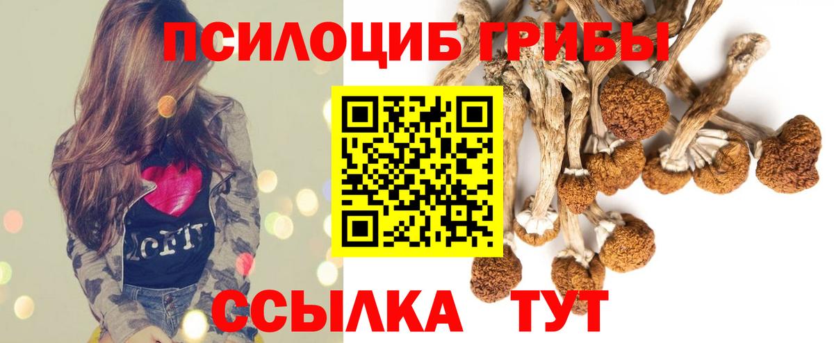 Галлюциногенные грибы MAGIC MUSHROOMS  купить наркоту  Малгобек  Вход с VPN 